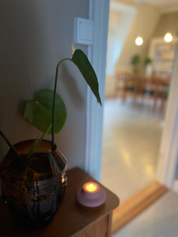 Charming Apartment In Alesund Center With Free Parking Esterno foto